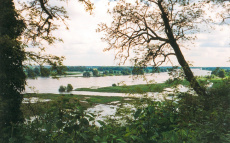 Die Elbe