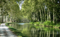 Le Midi: Südfrankreich