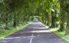 Ostsee: Pommern-Kurland