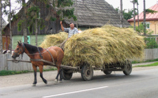Bukovina & Siebenbürgen